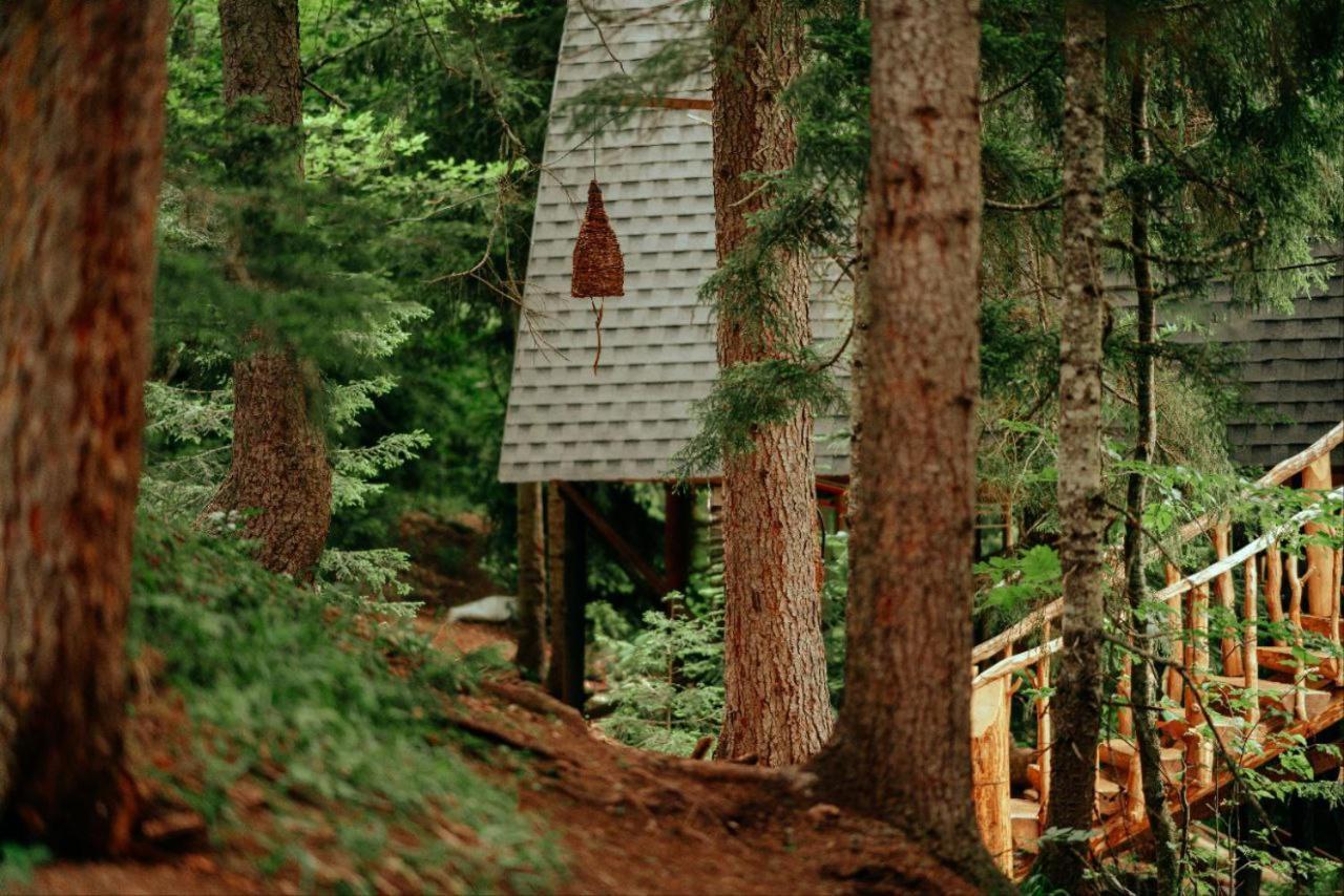 Galileo In Lodge *